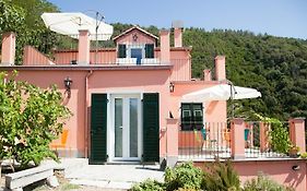 Il Nettare